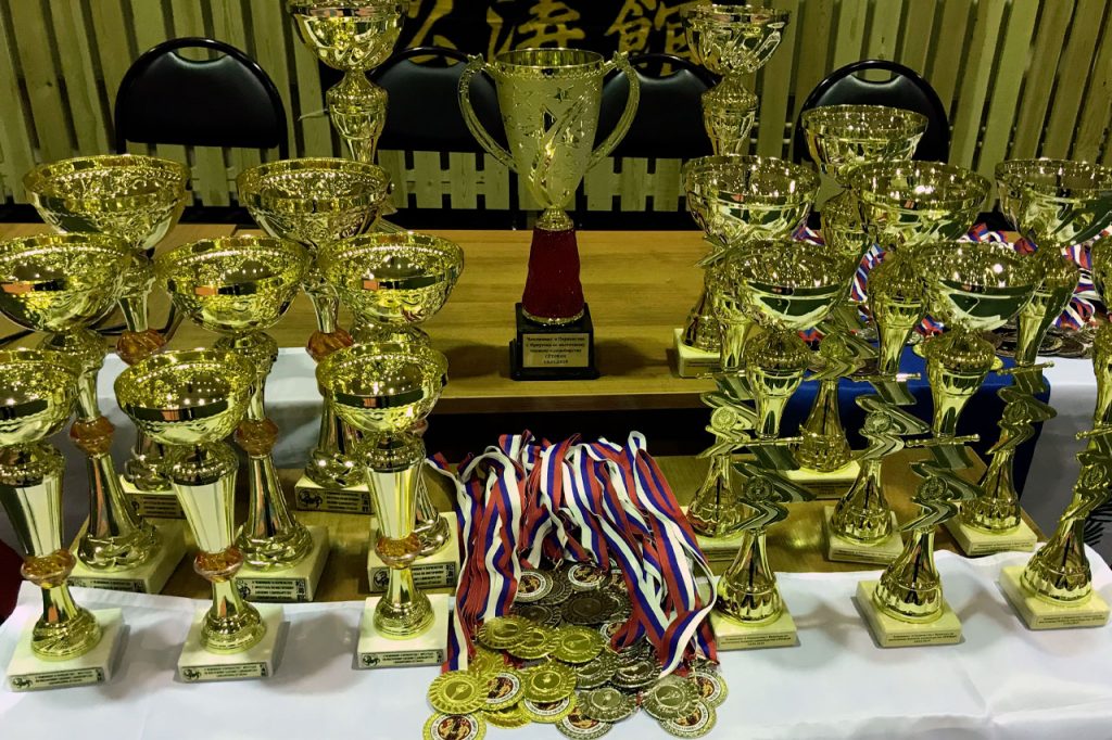 Результаты десятого чемпионата и первенства Иркутска в дисциплине «Сётокан»