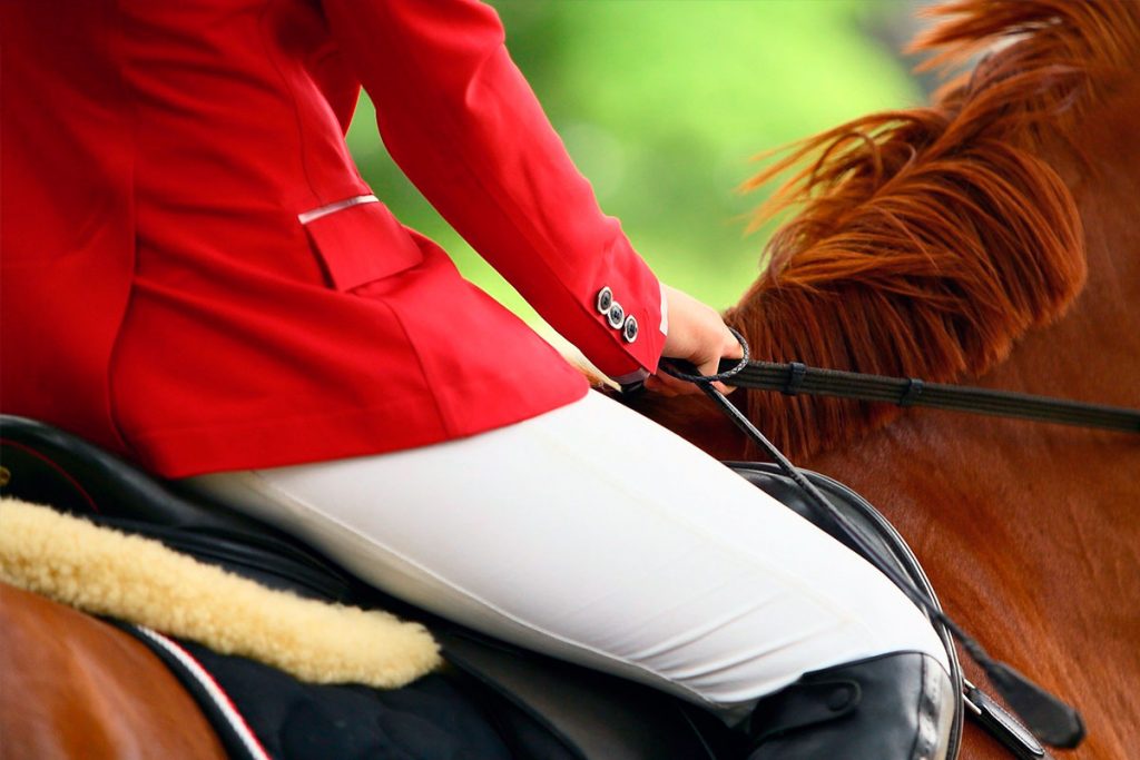 С 21 по 25 июня в Иркутском районе пройдёт IV Международный Байкальский фестиваль конного спорта среди инвалидов